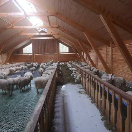 Unique Innside Sheep Barn In Norway